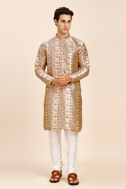 Printed Regular fit Chinese collar Kurta for Men - Brown