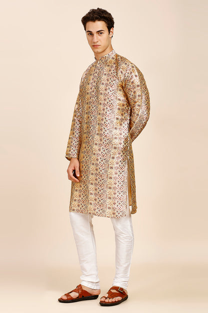 Printed Regular fit Chinese collar Kurta for Men - Brown