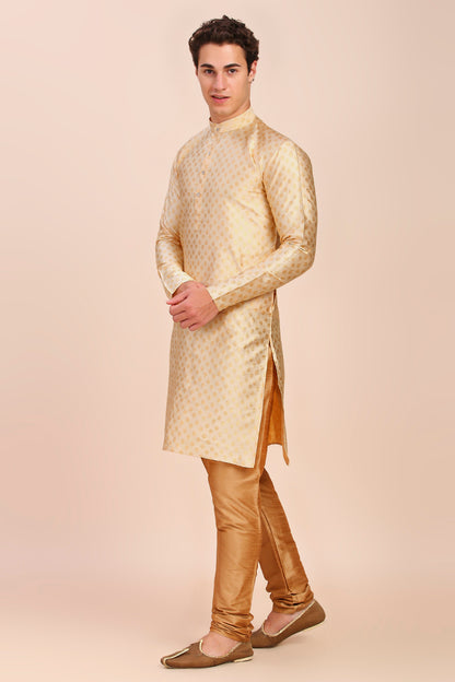 Plain With Golden Butti Regular fit Chinese collar Kurta for Men - Beige