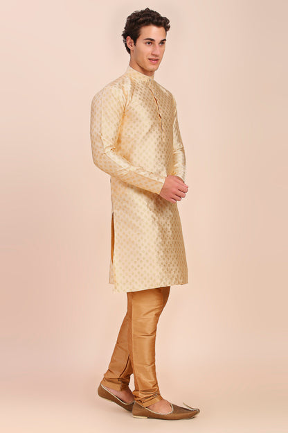 Plain With Golden Butti Regular fit Chinese collar Kurta for Men - Beige