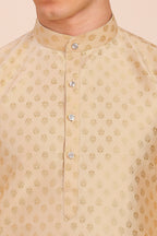 Plain With Golden Butti Regular fit Chinese collar Kurta for Men - Beige