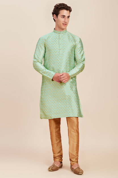 Plain With Golden Butti Regular fit Chinese collar Kurta for Men - Sea Green