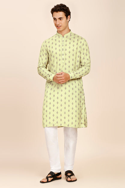 Printed Regular fit Chinese collar Kurta for Men - Light Green