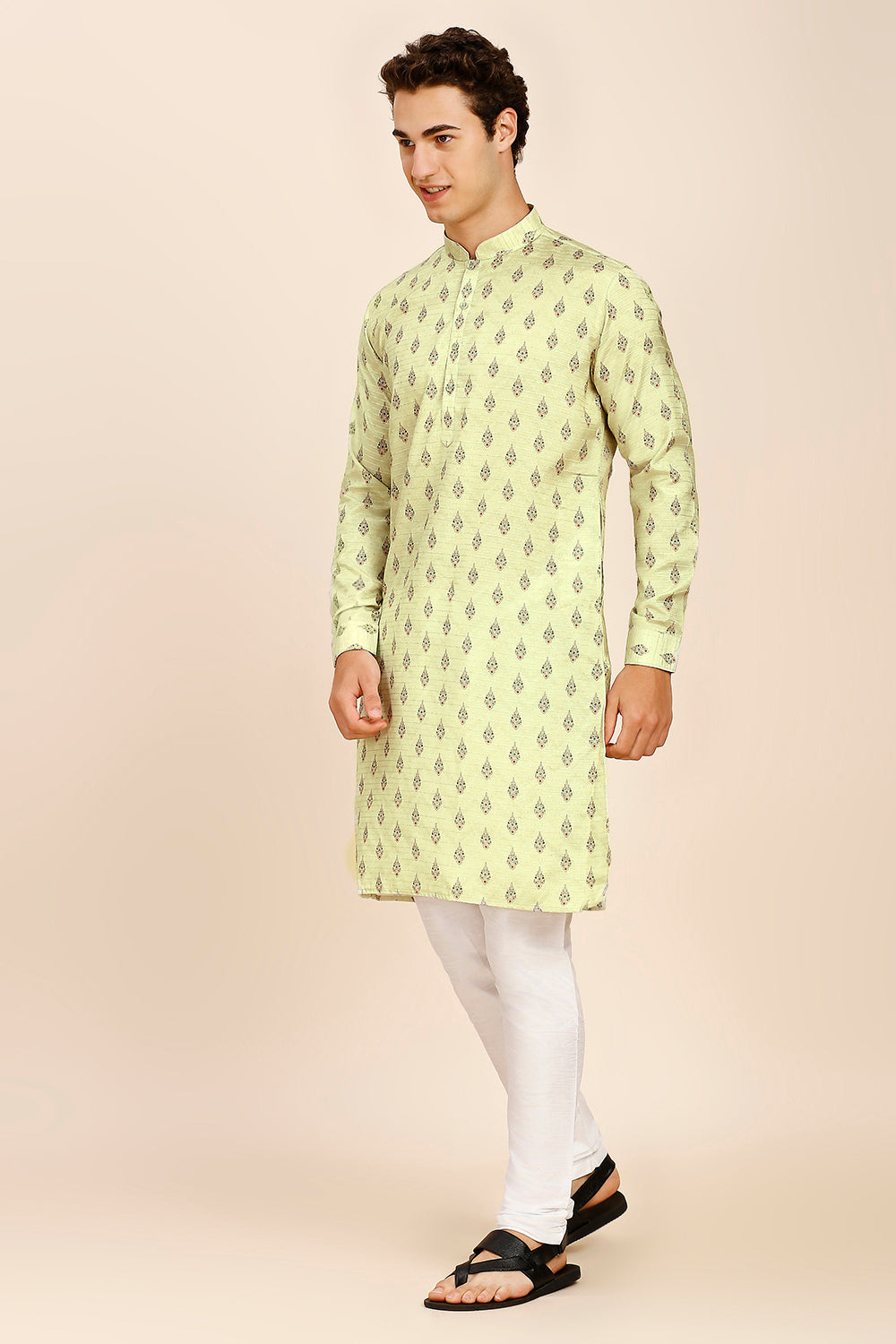 Printed Regular fit Chinese collar Kurta for Men - Light Green