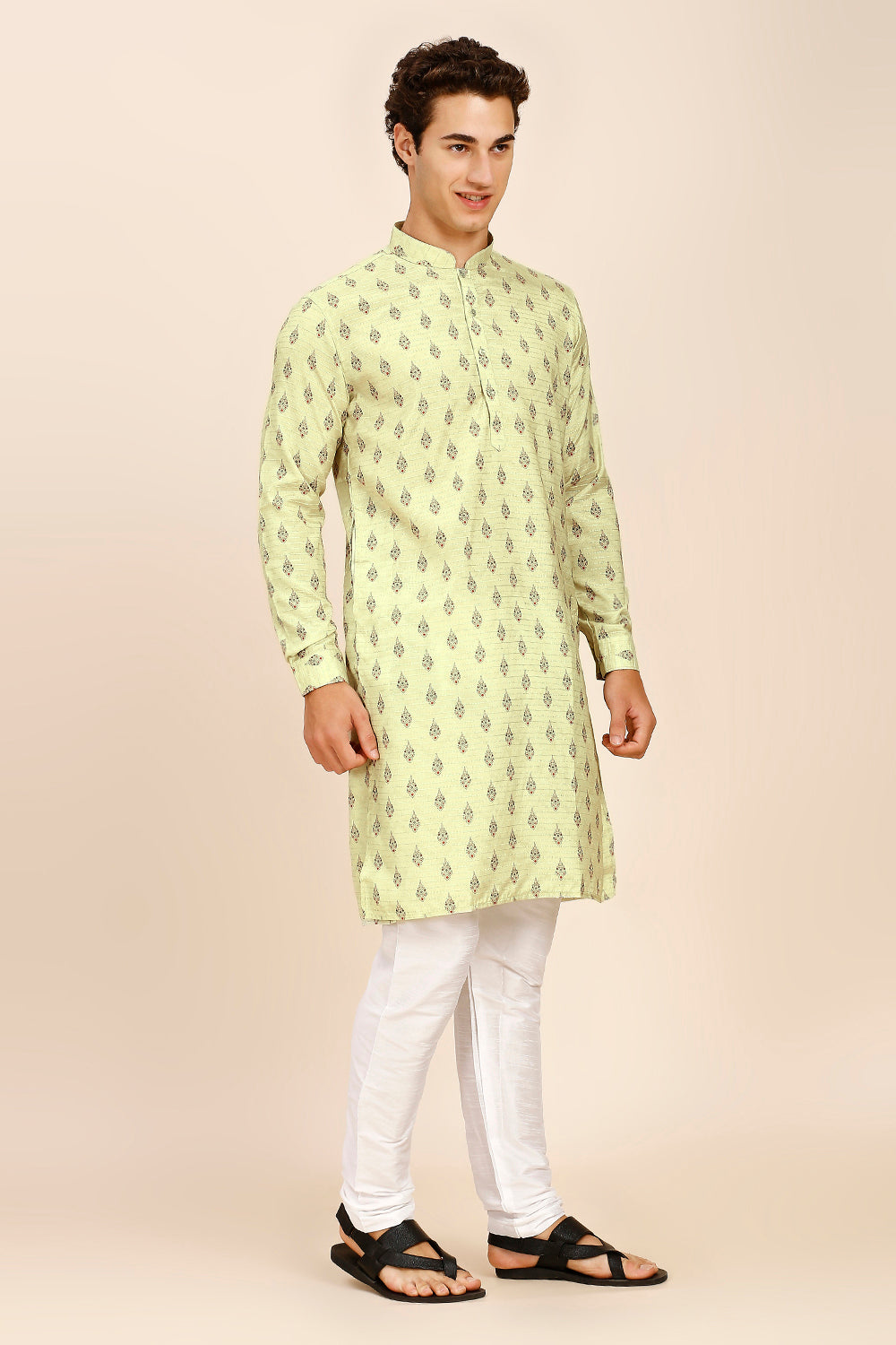 Printed Regular fit Chinese collar Kurta for Men - Light Green