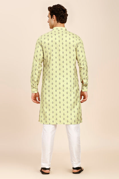 Printed Regular fit Chinese collar Kurta for Men - Light Green