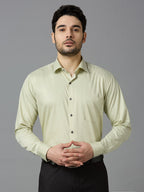 Tea Green Elegant Office Wear Shirt for Men | Allen Brown Satin
