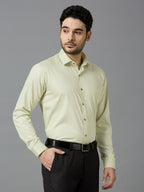 Tea Green Elegant Office Wear Shirt for Men | Allen Brown Satin
