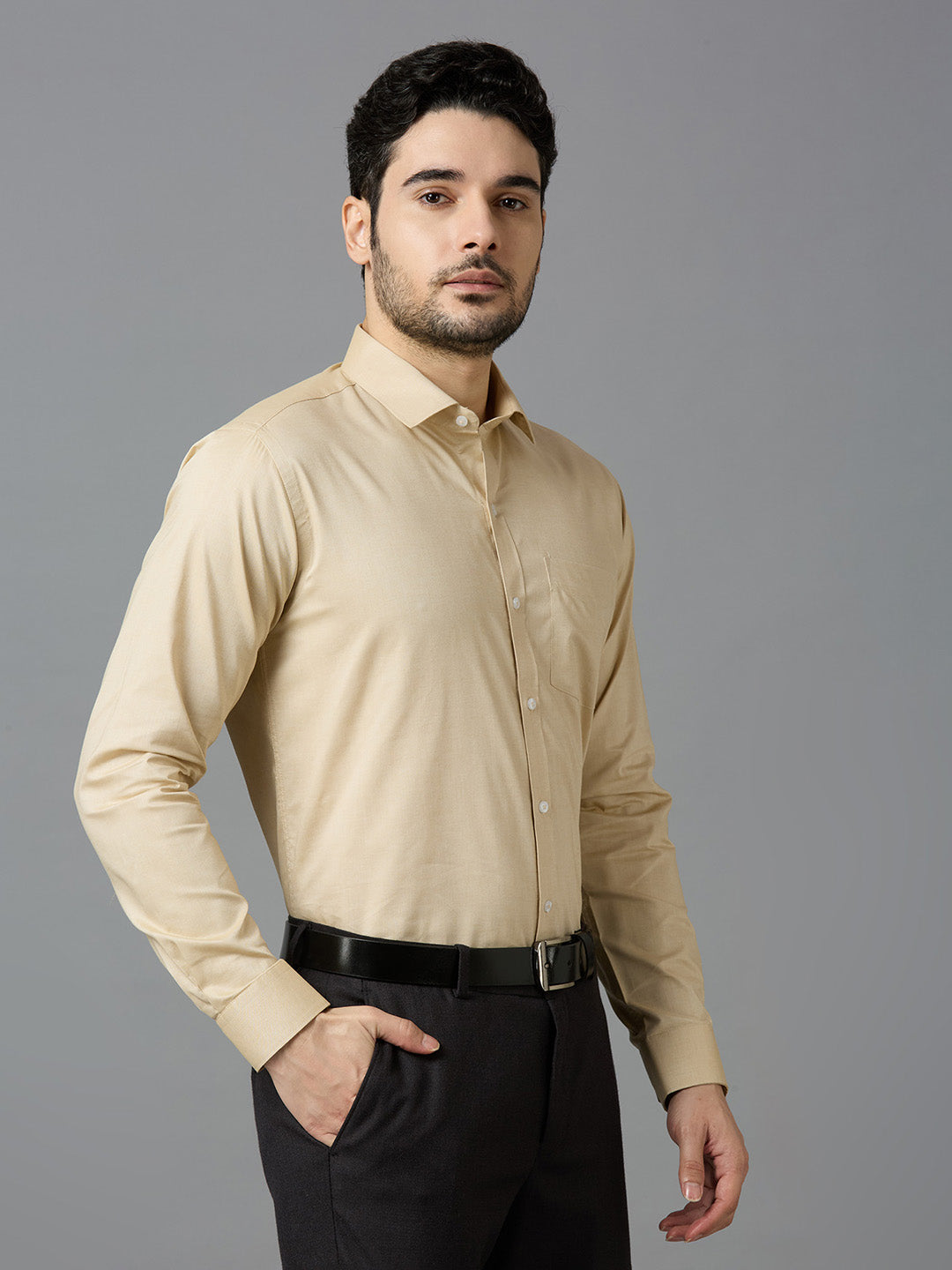 Men's Fawn Plain Office Wear Long Sleeves Solid Shirt - Allen Brown